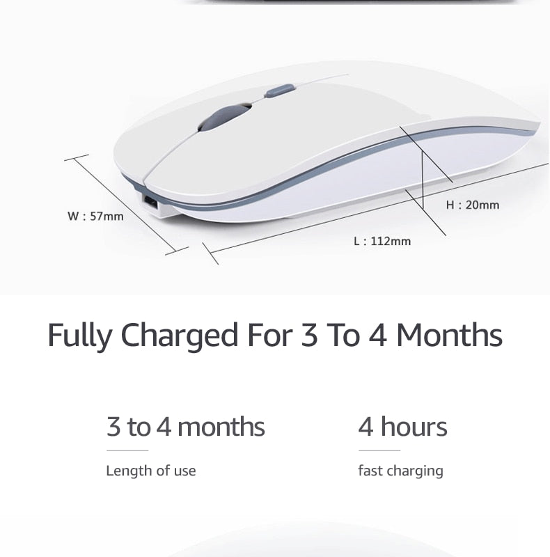 GoWireless Rechargeable Bluetooth Mouse